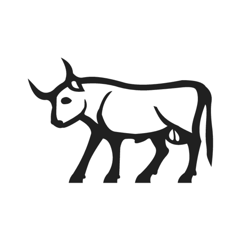 E2 — taureau chargeant