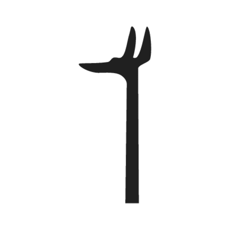 F12 — Tête et cou de canidé