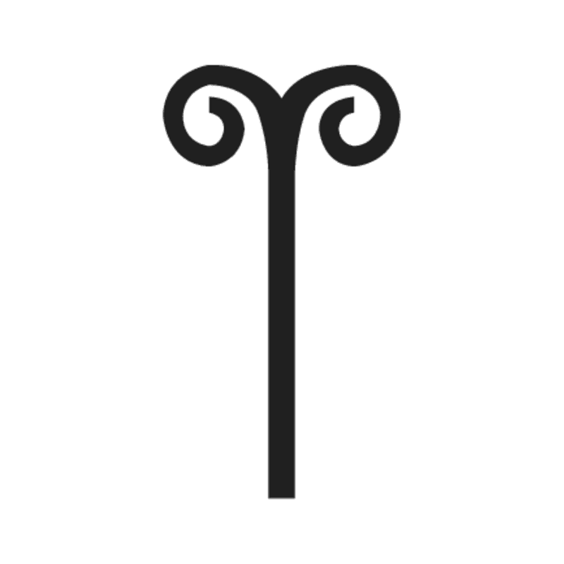 F45 — Utérus de génisse