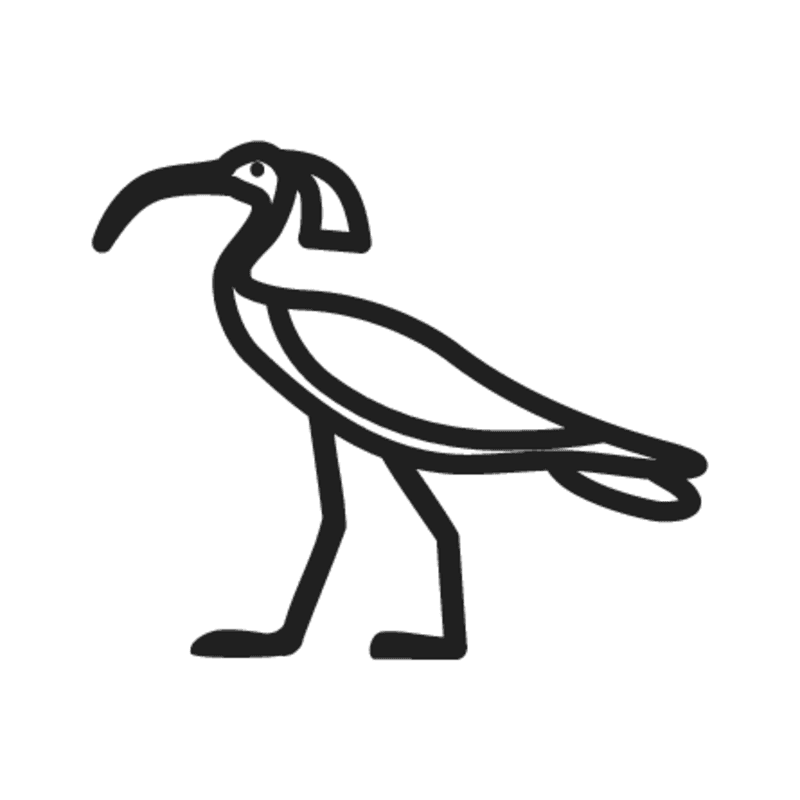 G25 — Ibis à crête