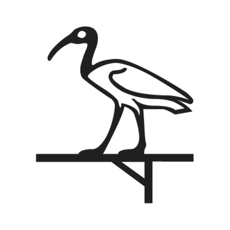 G26 — Ibis sur un pavois