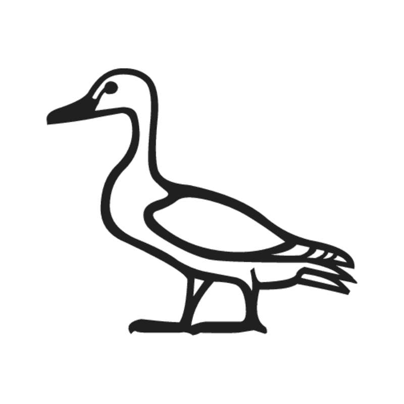 G39 — Canard pilet