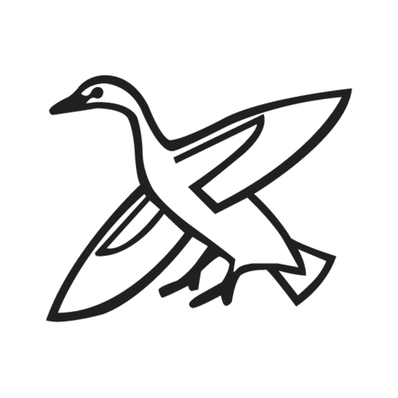 G40 — Canard pilet en vol