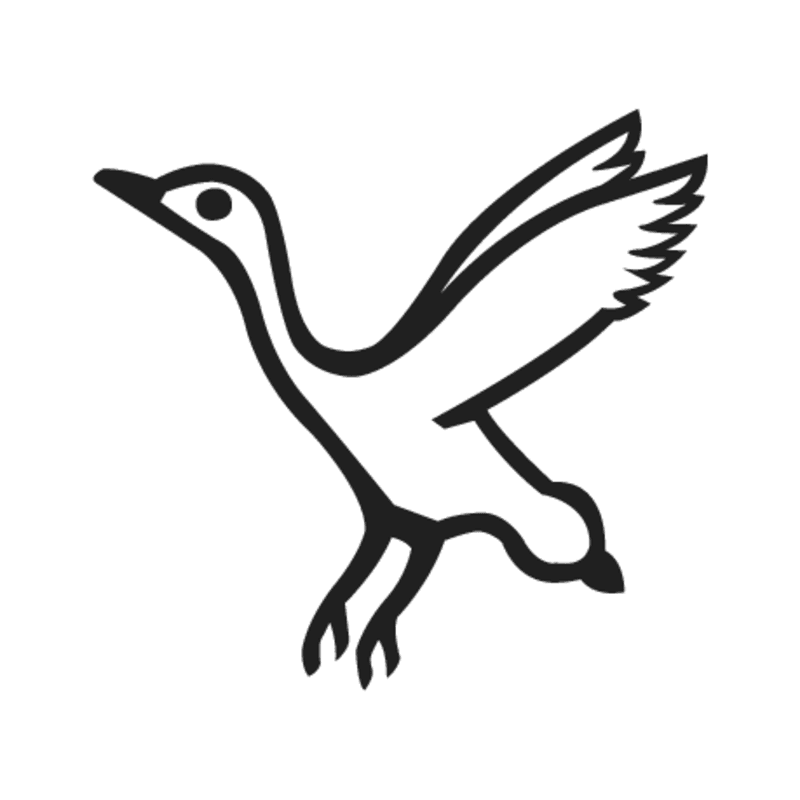 G41 — canard pilet en vol