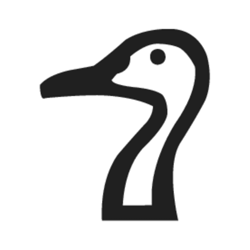 H1 — Tête de canard