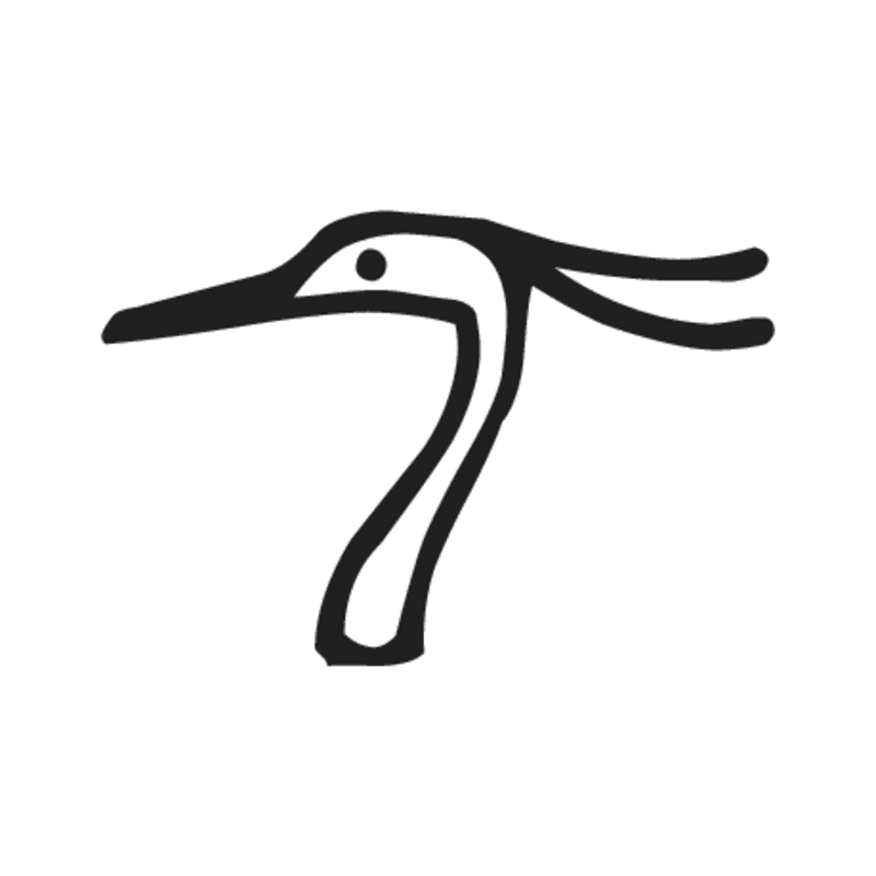 H2 — Tête de héron