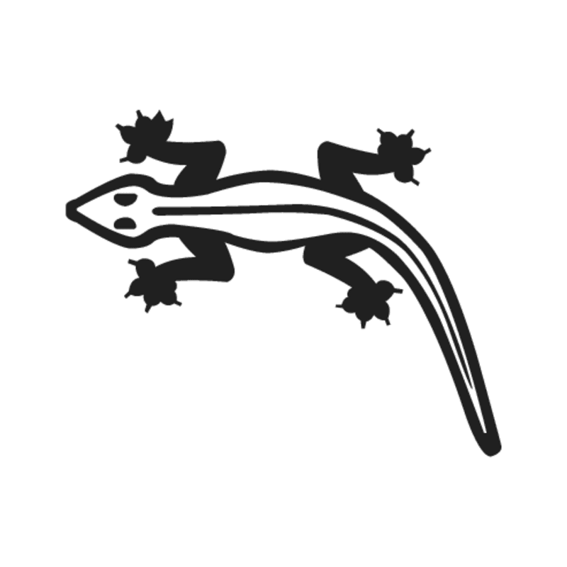 I1 — Gecko