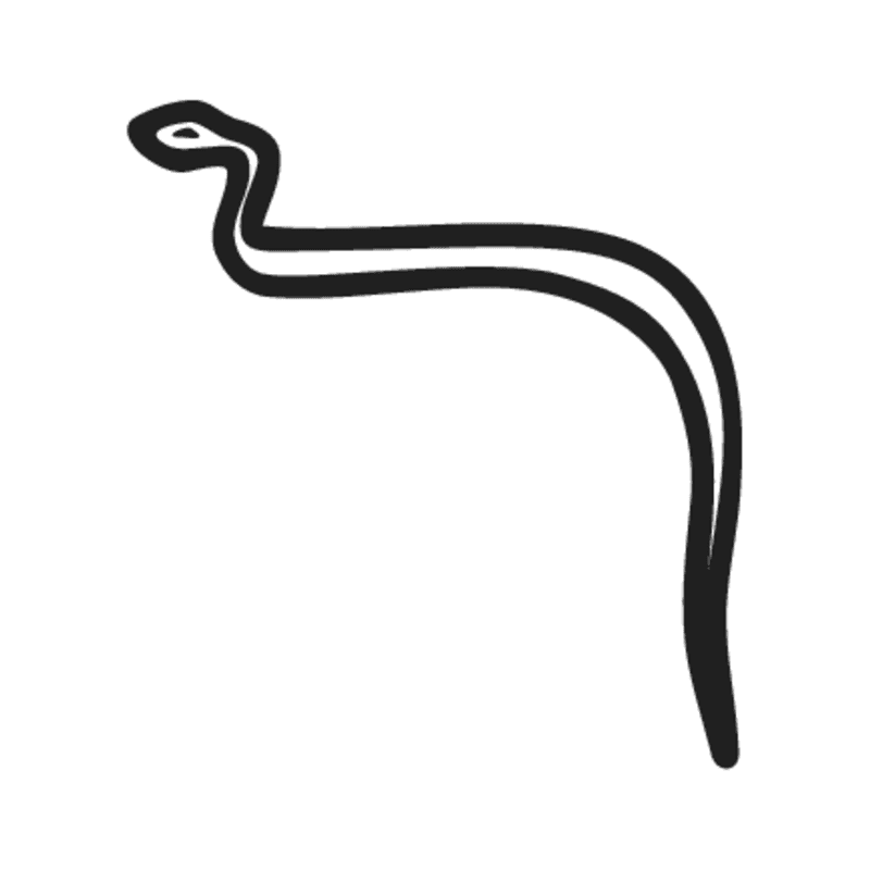I10 — Cobra