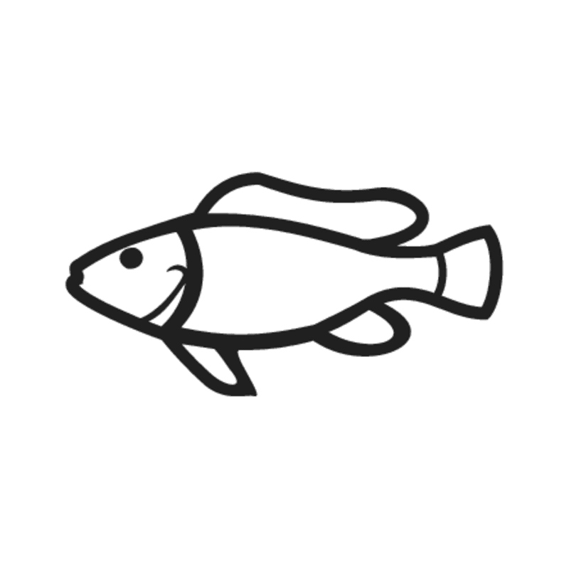 K5 — poisson Petrocephalus bane