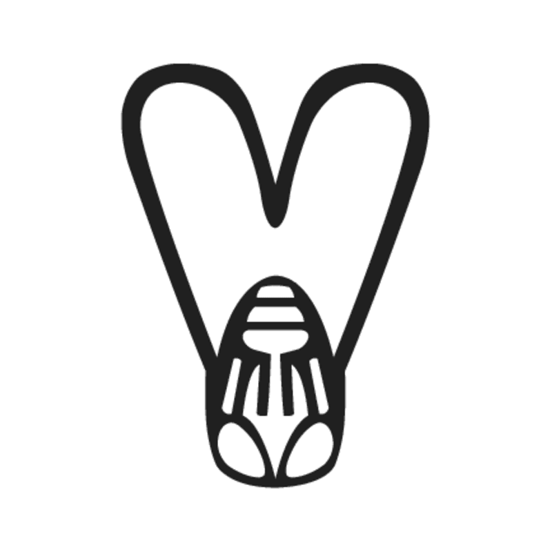 L3 — Mouche