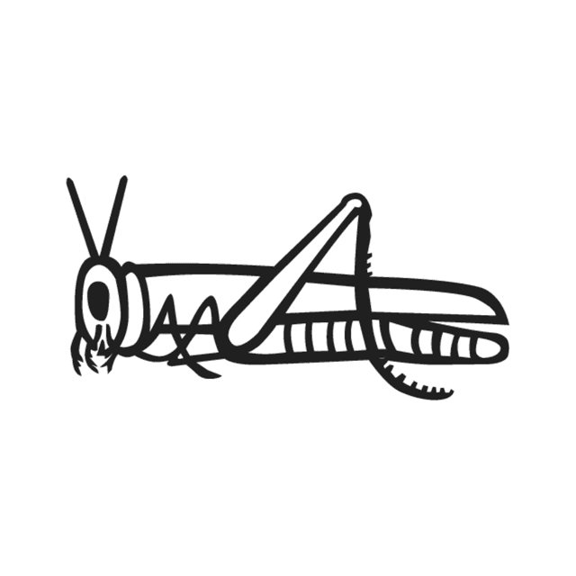 L4 — hiéroglyphe