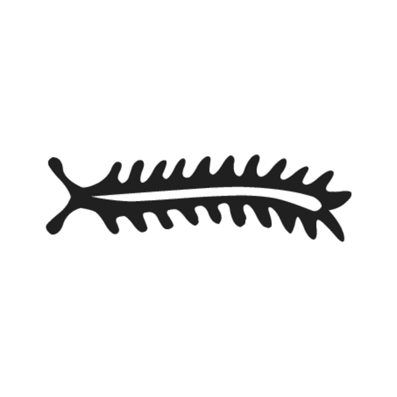 L5 — Scolopendre