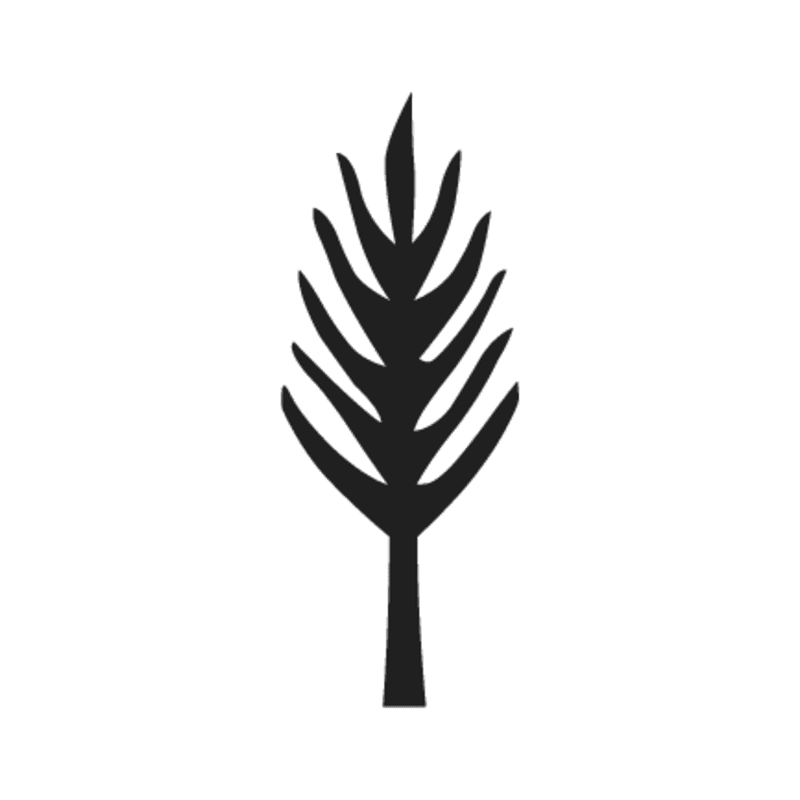 M34 — Epis de blé amidonnier