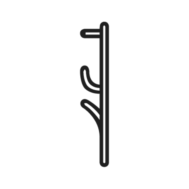 T20 — hiéroglyphe