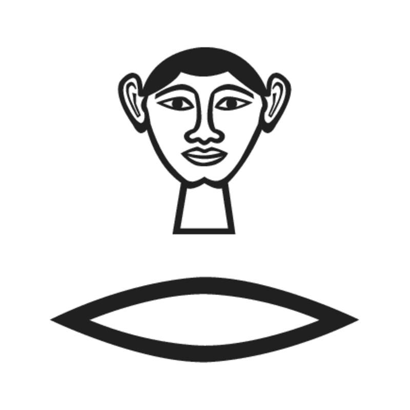D2 D21 —