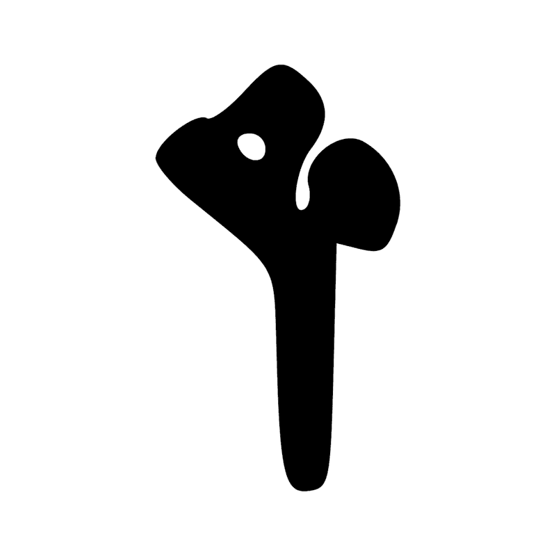 W14 — Aiguière