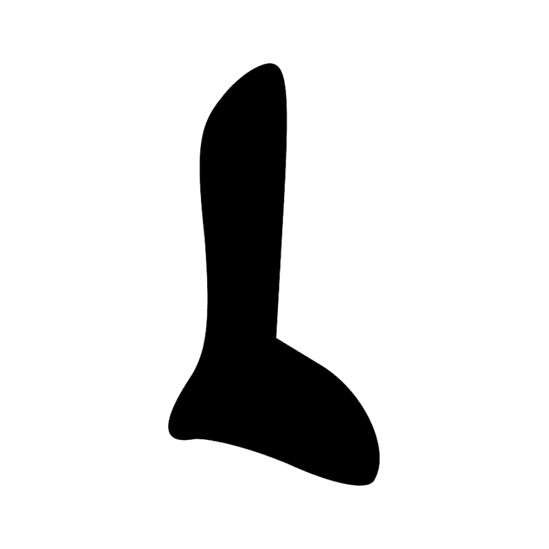 X3 — Pain ; linguot