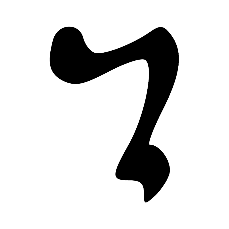 D36 X1