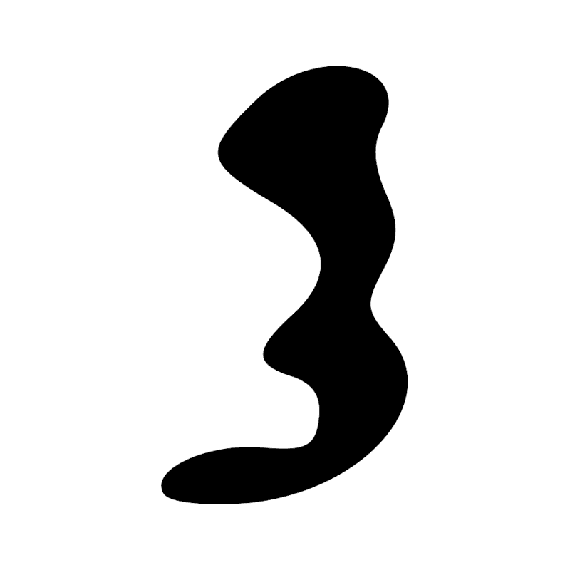 D21 X1