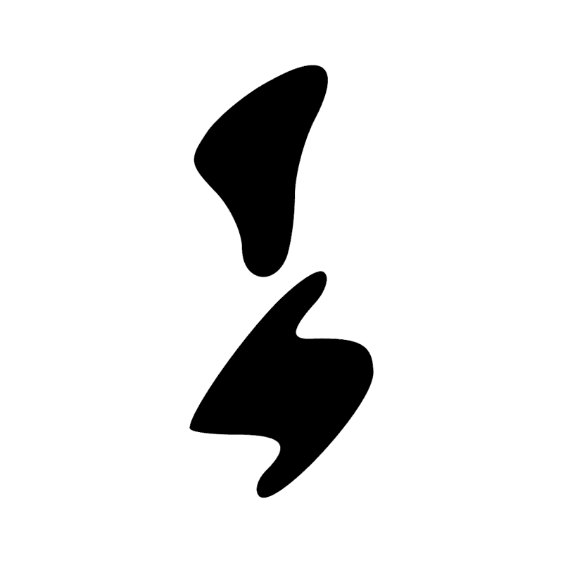 X1 D21