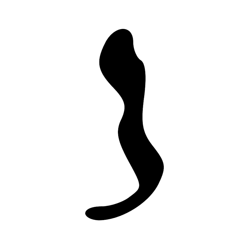 Signe n° 11341