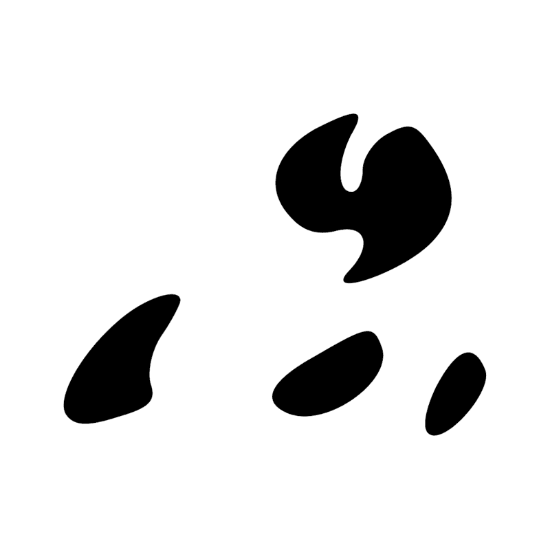 N33 Z2