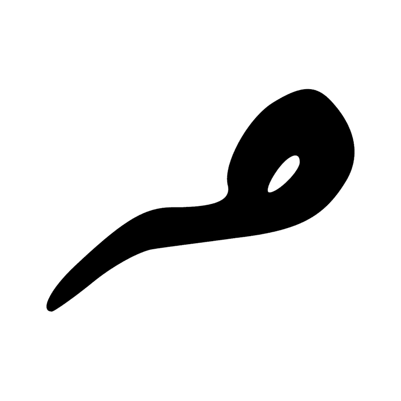 V1 — Corde lovée