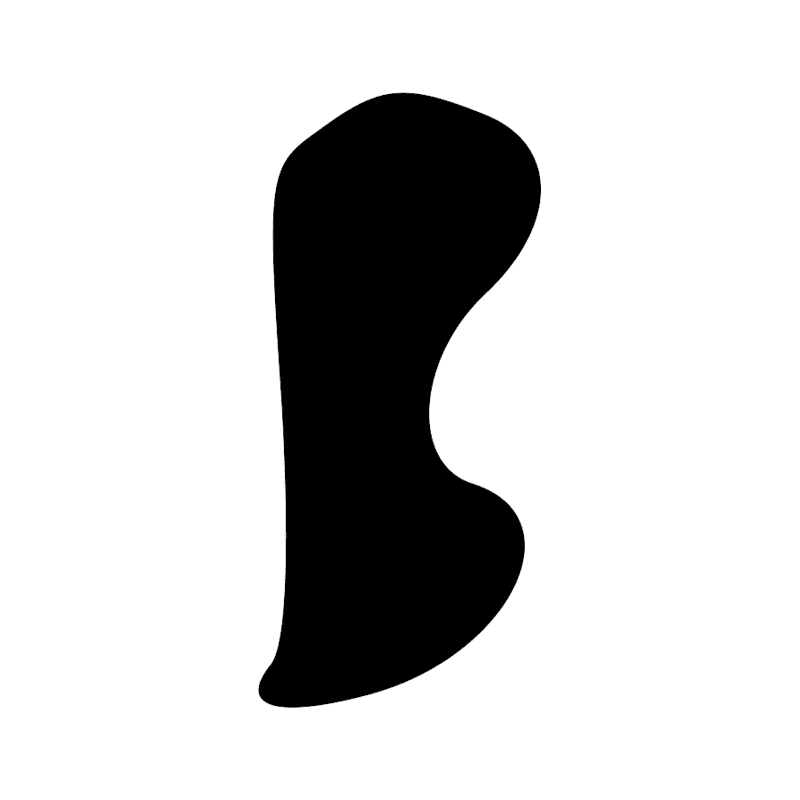 M12 — Plan de lotus