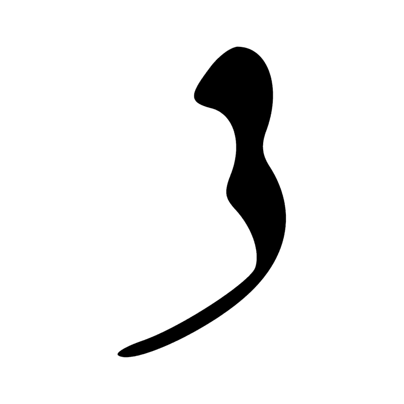 D15 — Partie de l'oeil Oudjar