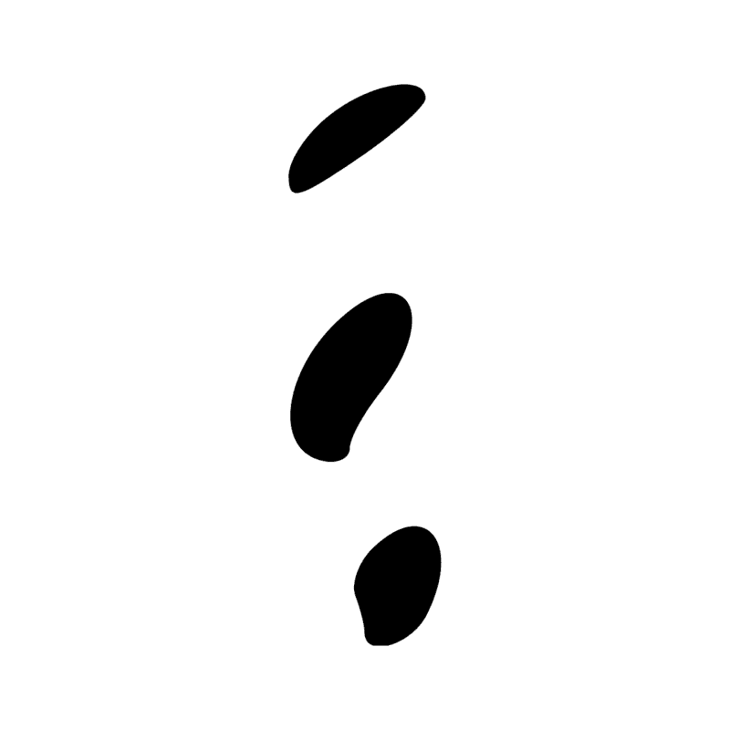 Signe n° 12011