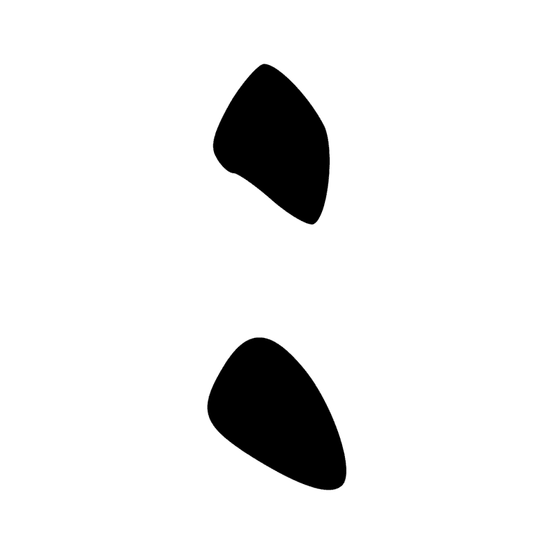 Signe n° 12232