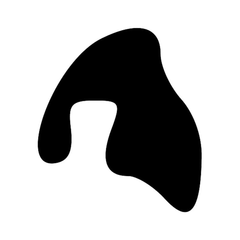 Signe n° 13