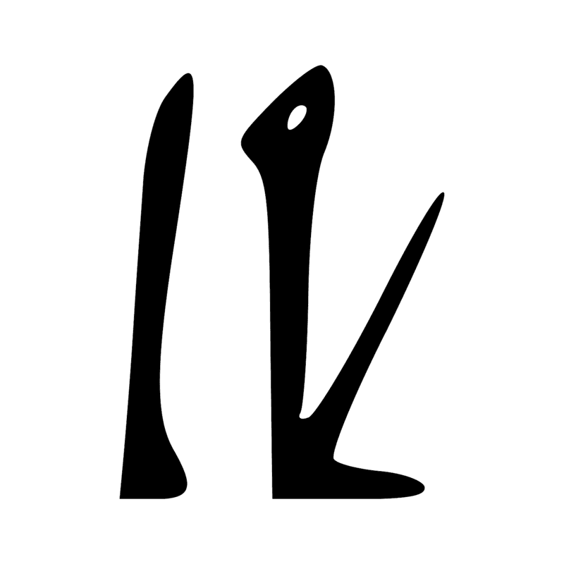 A51 — Graphie de A50 avec le flagellum S45