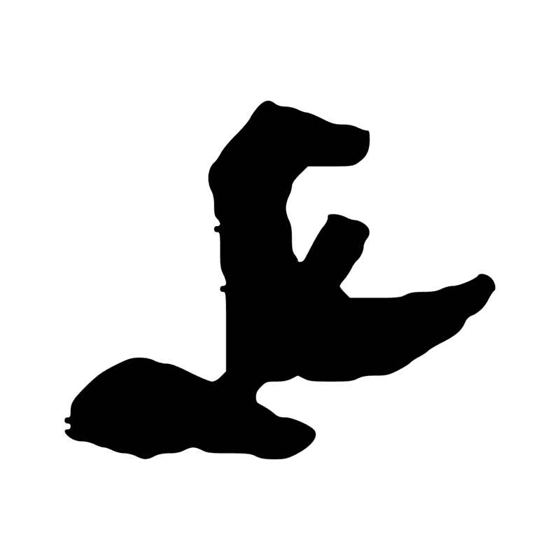 Signe n° 14313
