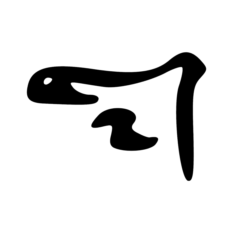 D53 — phallus émettant un liquide