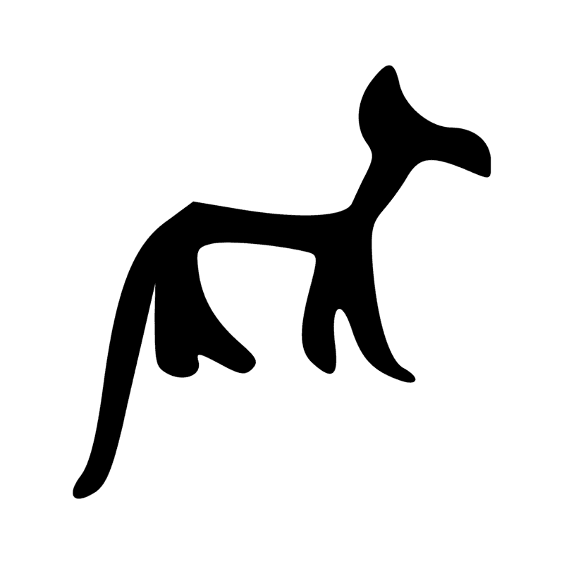 E17 — Chacal debout