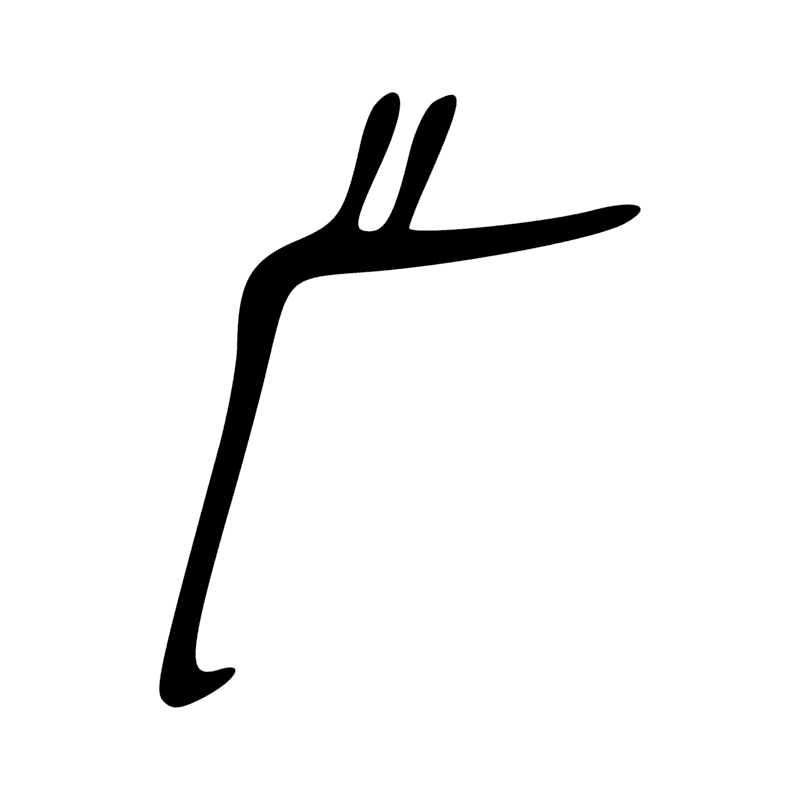 F12 — Tête et cou de canidé