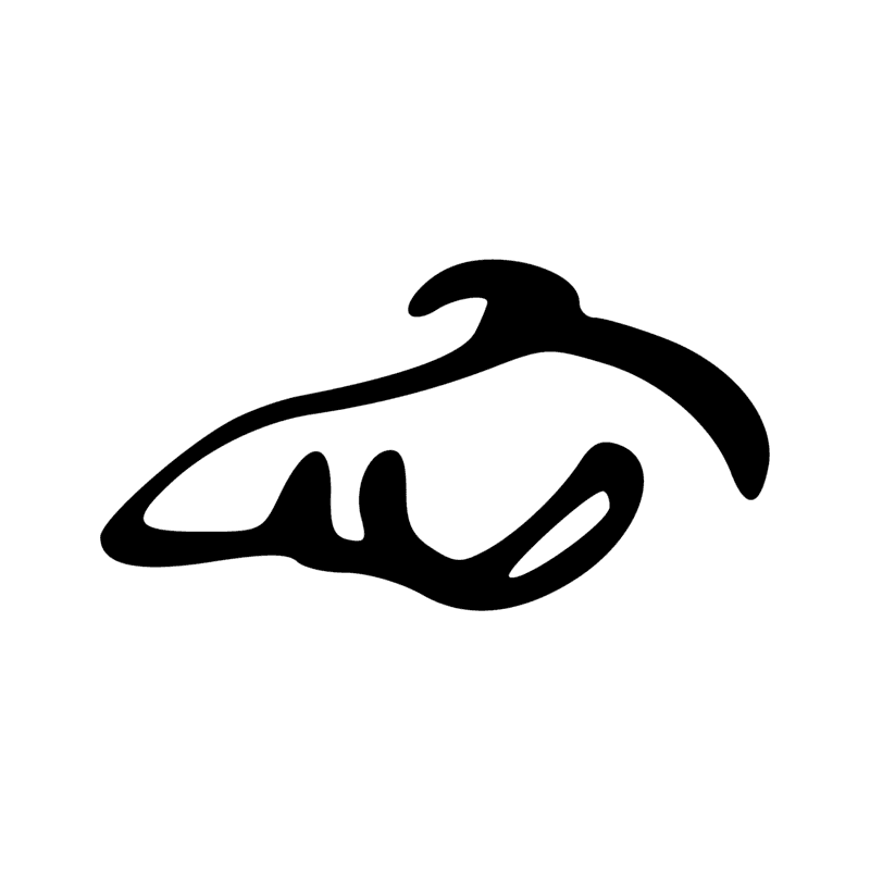 G25 — Ibis à crête