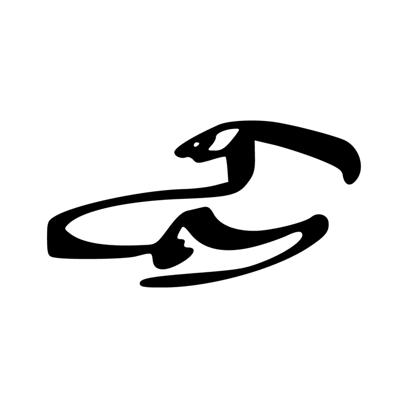 G25 — Ibis à crête
