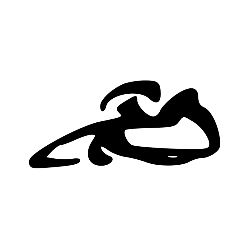 G25 — Ibis à crête
