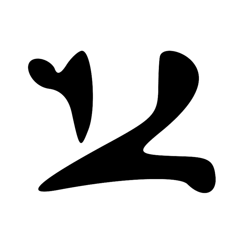G41 — canard pilet en vol