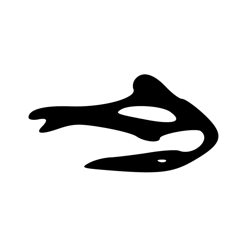 G54 — Oie troussée