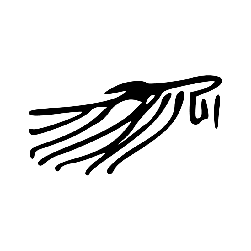 H5 — Aile
