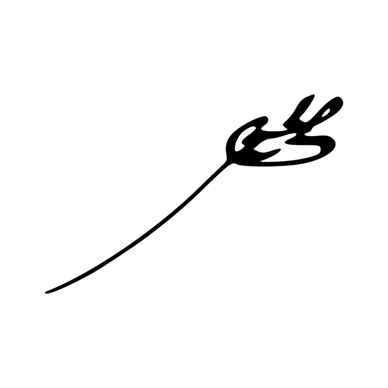 I1 — Gecko