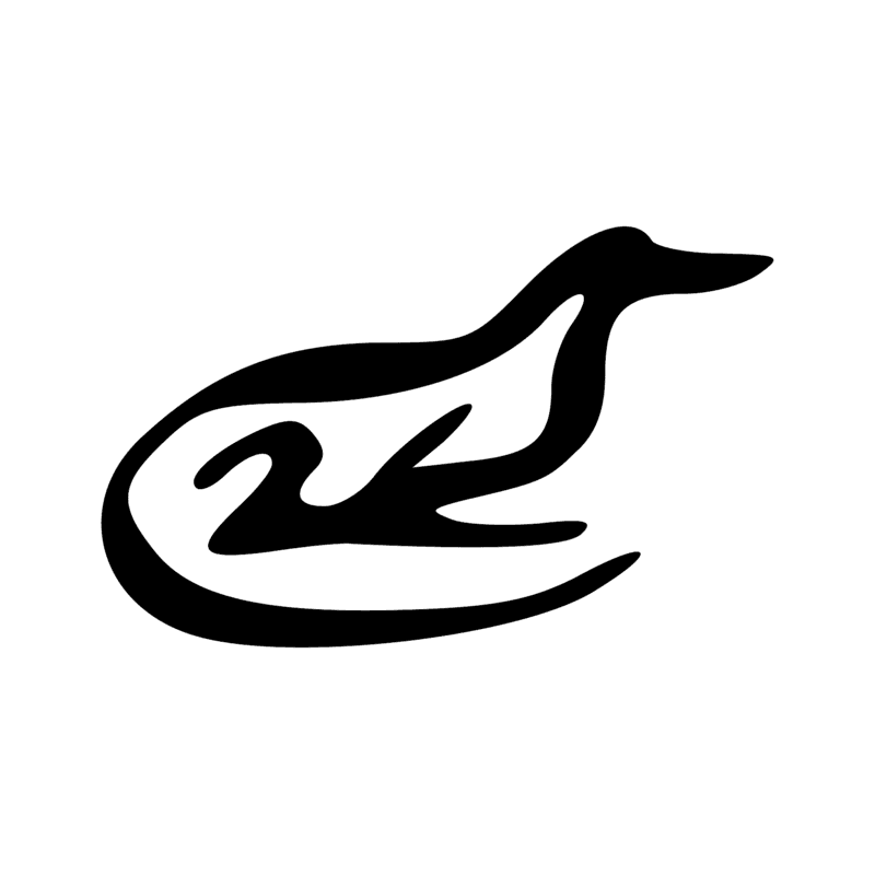 I5 — Crocodile, queue ramassée