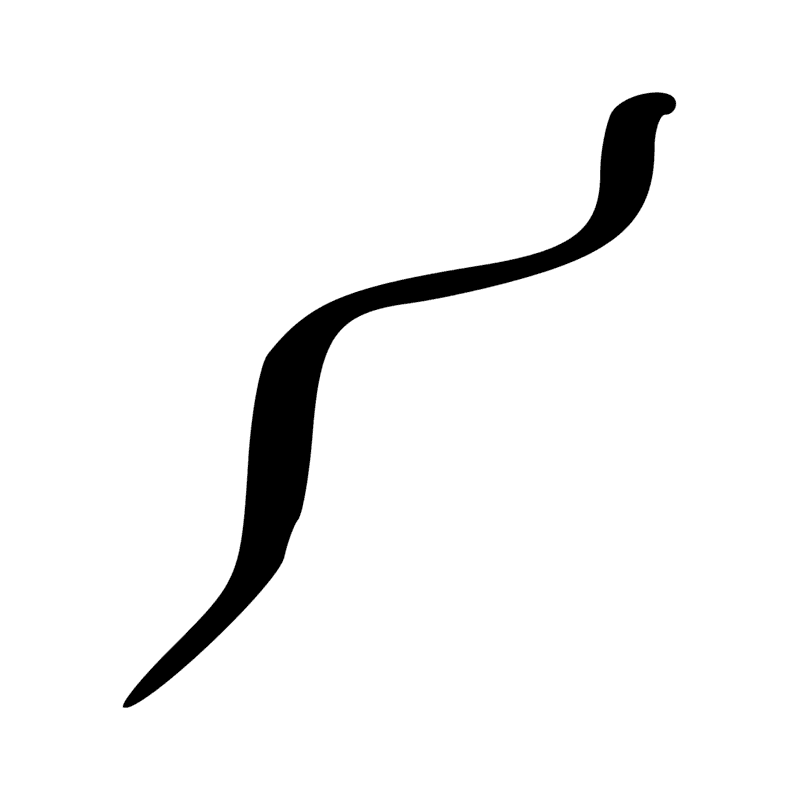 Signe n° 2205