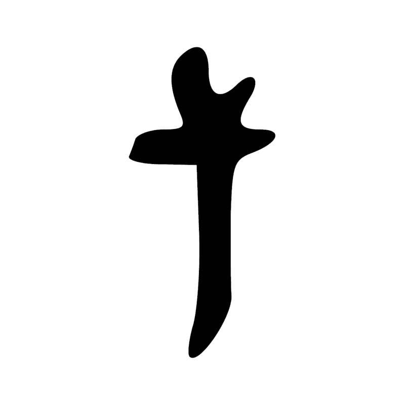 P6 — Mât