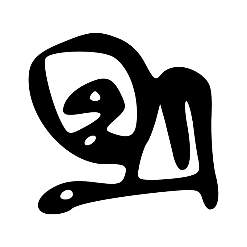 V29 — Balai de fibres