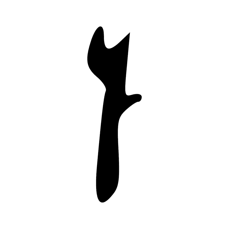 S43 — Bâton de marche