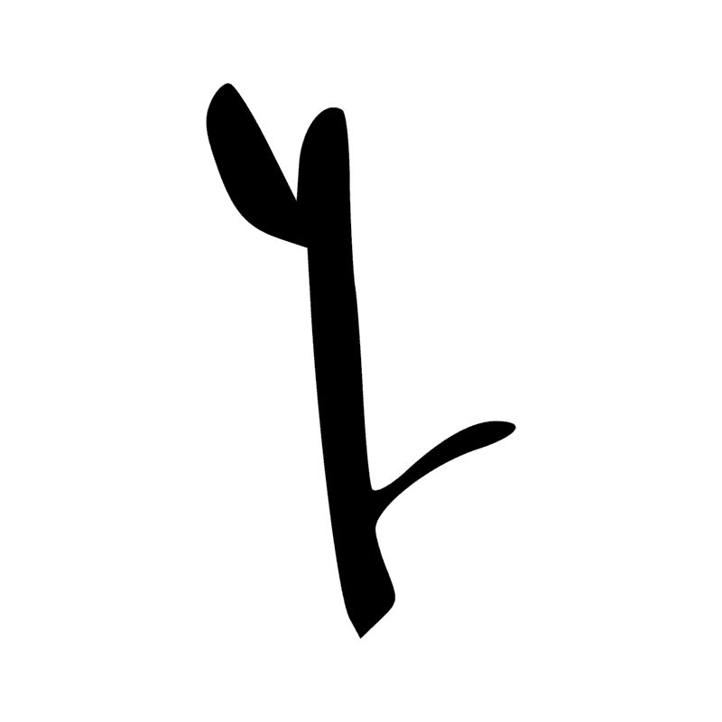 S43 — Bâton de marche